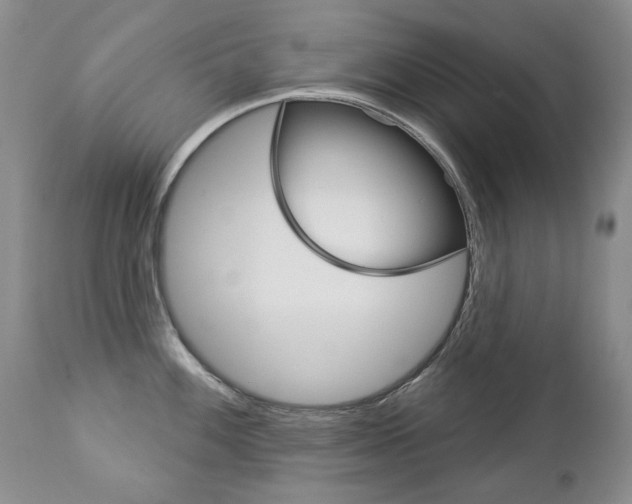 X0000112781100200908201408