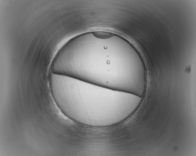 X0000112781102200908201408