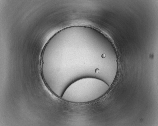 X0000112781103200908201408