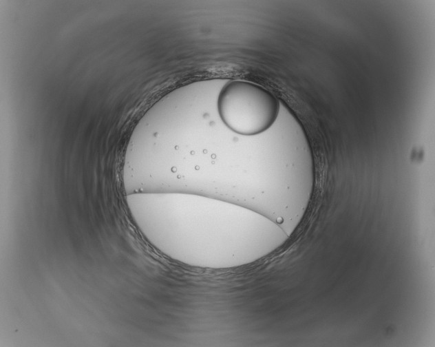X0000112781106200908201407