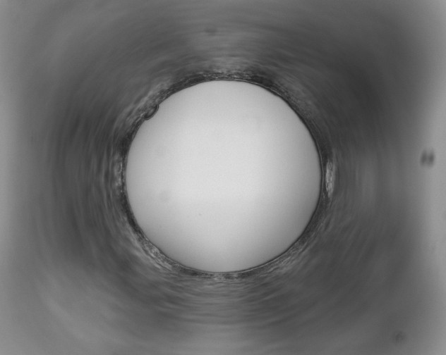 X0000112781107200908201407