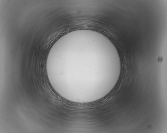 X0000112781108200908201407