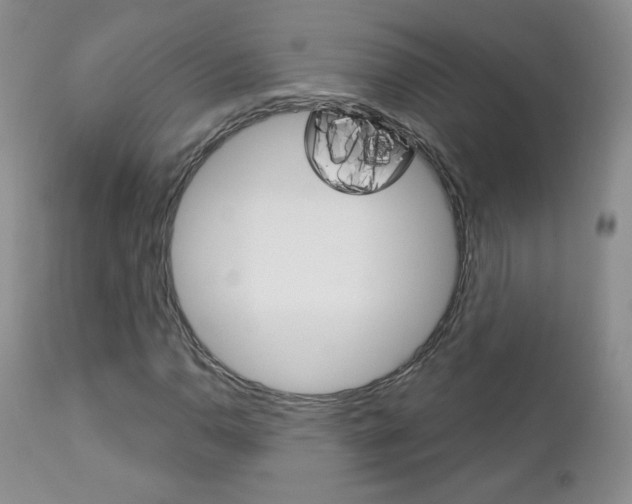 X0000112781110200908201407