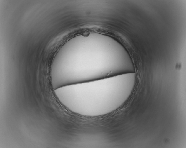 X0000112781111200908201407
