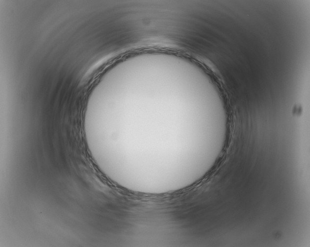 X0000112781112200908201407