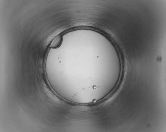 X0000112781113200908201407