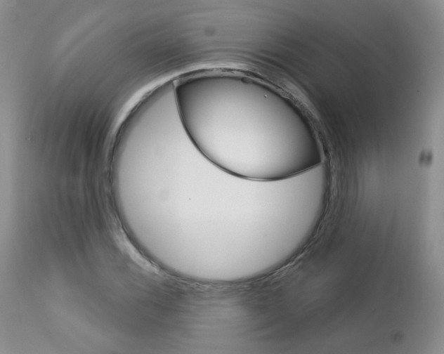 X0000112781116200908201407
