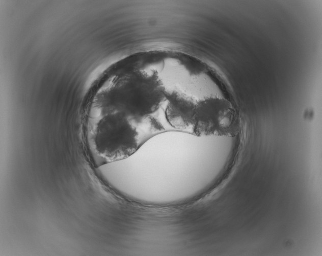 X0000112781117200908201407