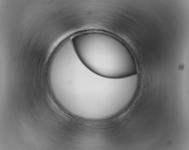 X0000112781118200908201407