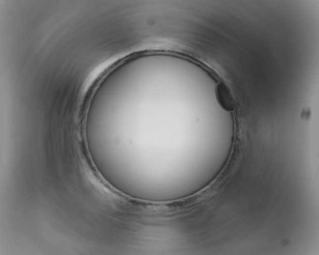 X0000112781120200908201407