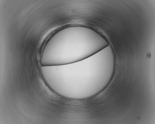 X0000112781123200908201407