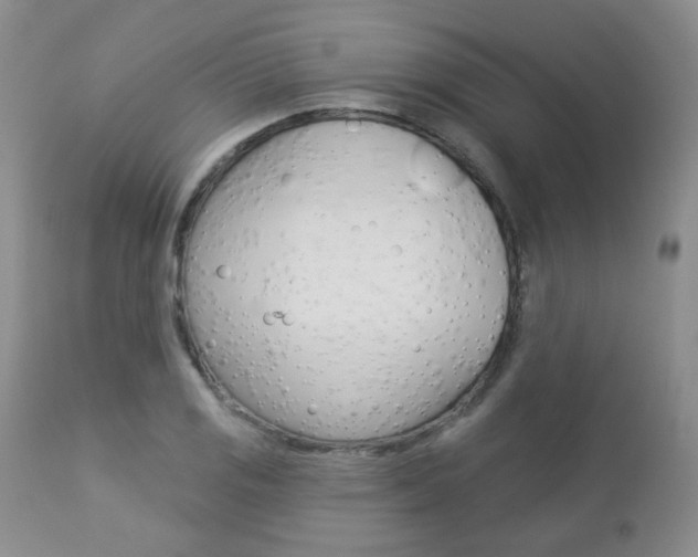 X0000112781125200908201407