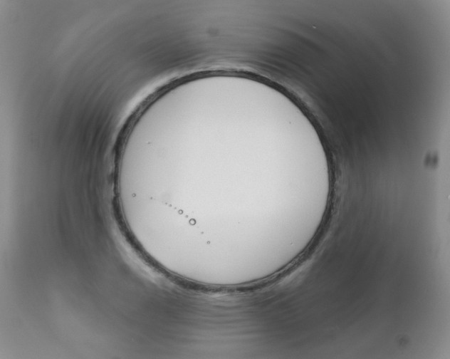 X0000112781126200908201407