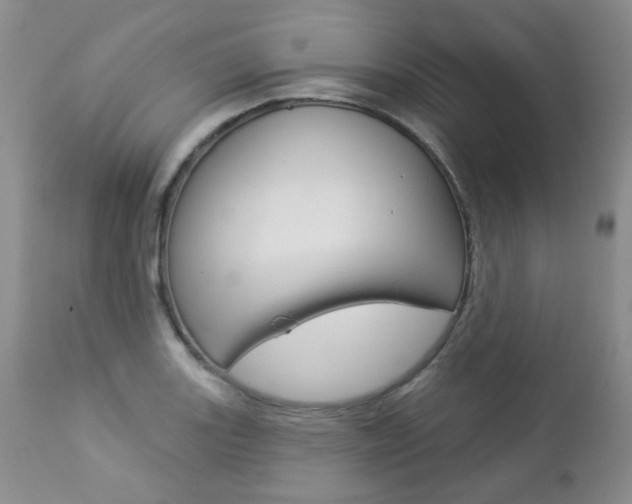 X0000112781131200908201407
