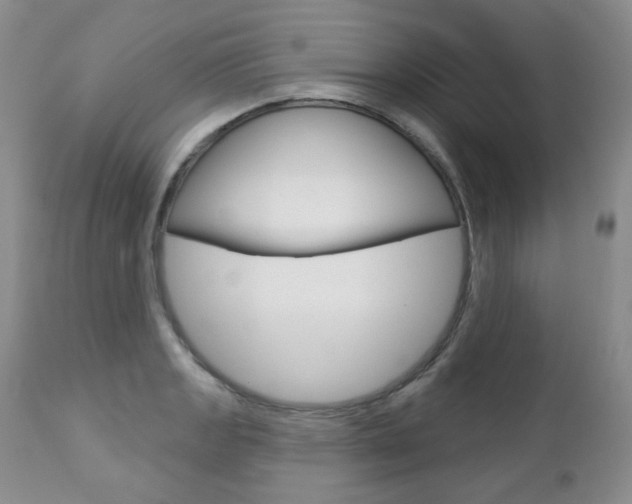 X0000112781133200908201407