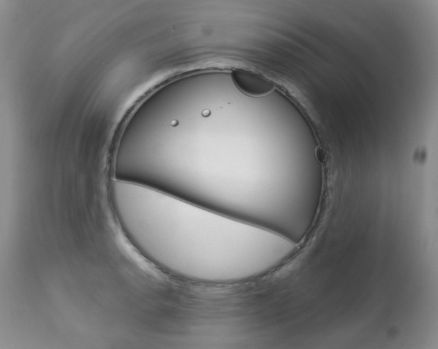 X0000112781134200908201407