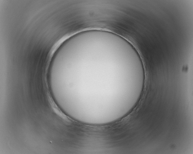 X0000112781136200908201408