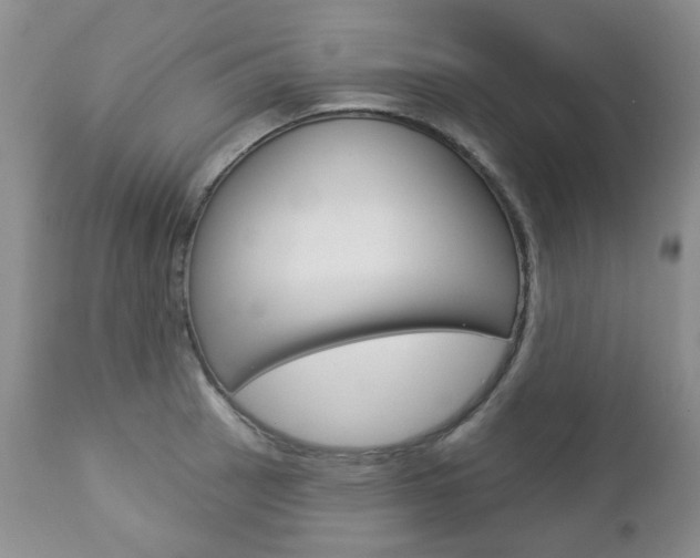 X0000112781137200908201408