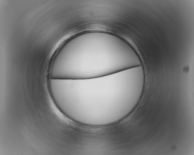 X0000112781139200908201408