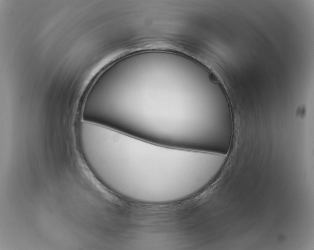 X0000112781142200908201408