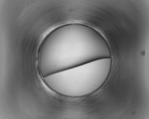 X0000112781143200908201408