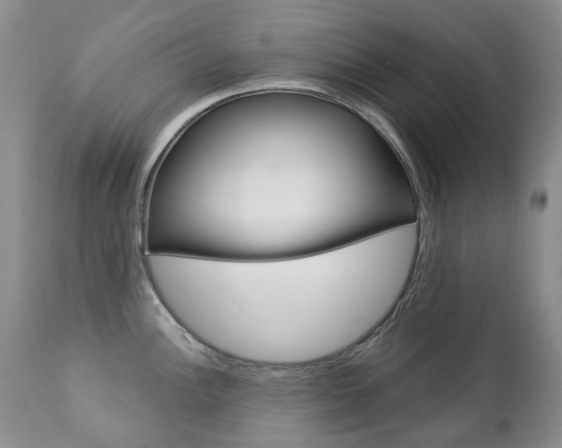 X0000112781148200908201408
