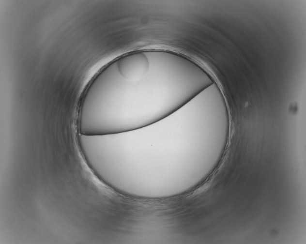 X0000112781149200908201408