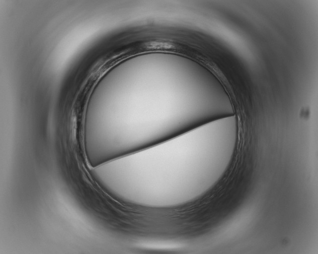 X0000112781151200908201408
