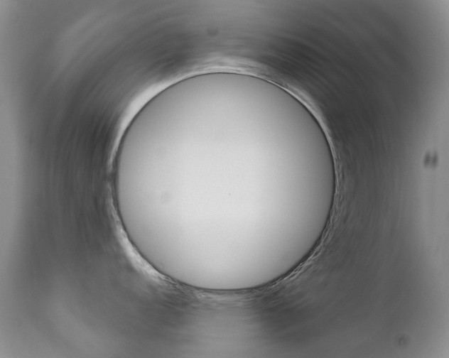 X0000112781152200908201408