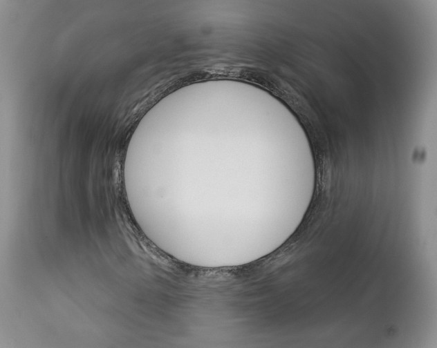 X0000112781154200908201407