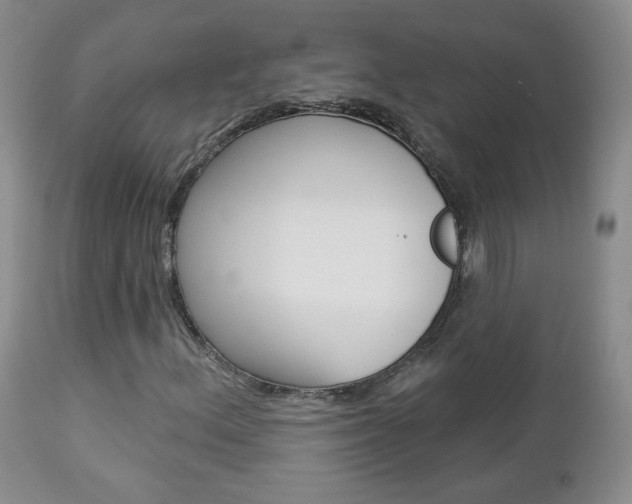X0000112781156200908201407