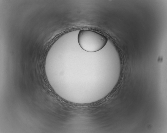 X0000112781157200908201407