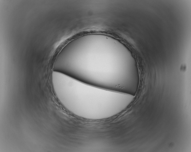 X0000112781160200908201407