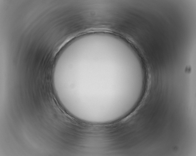X0000112781162200908201407