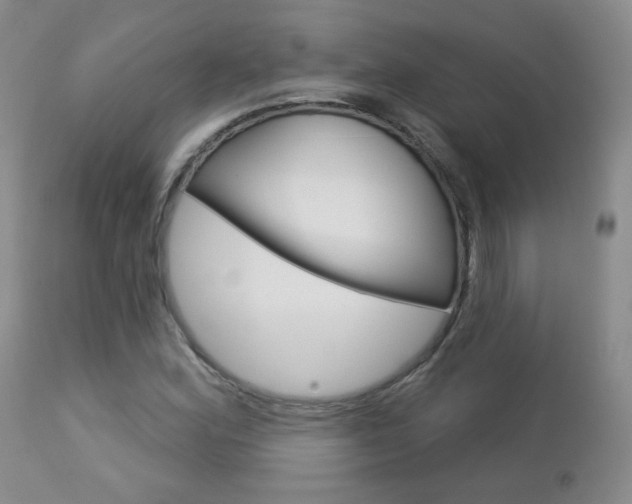 X0000112781164200908201407