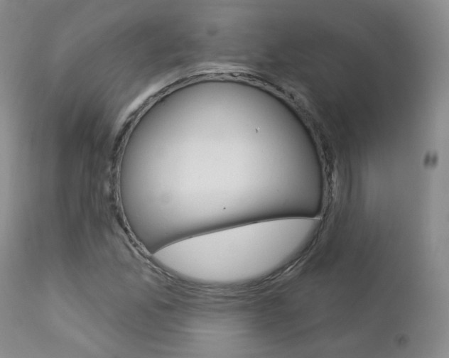 X0000112781165200908201407