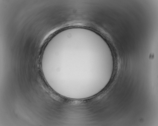 X0000112781166200908201407
