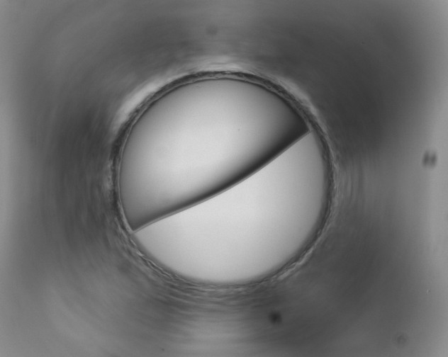 X0000112781167200908201407