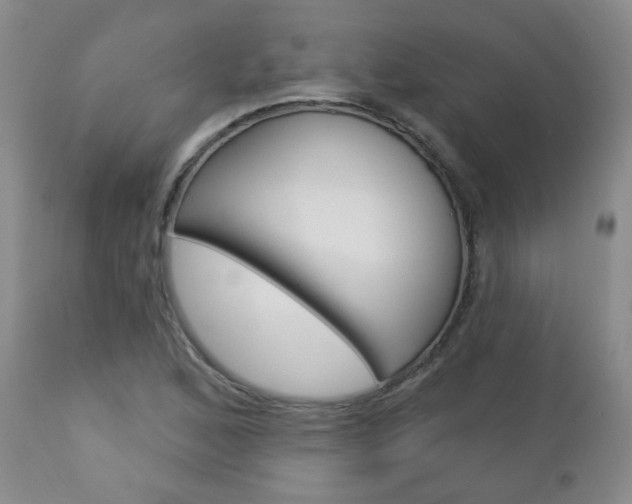X0000112781168200908201407