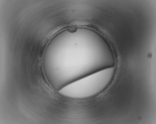 X0000112781169200908201407