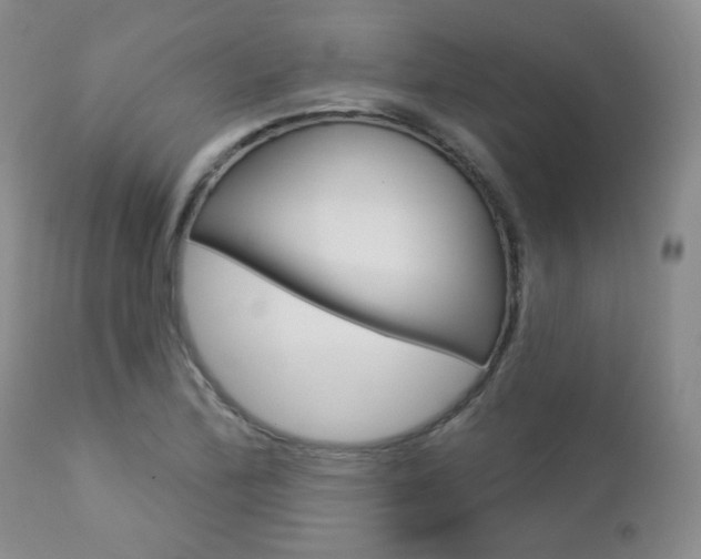 X0000112781172200908201407