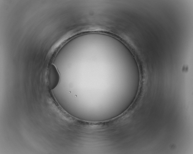 X0000112781173200908201407