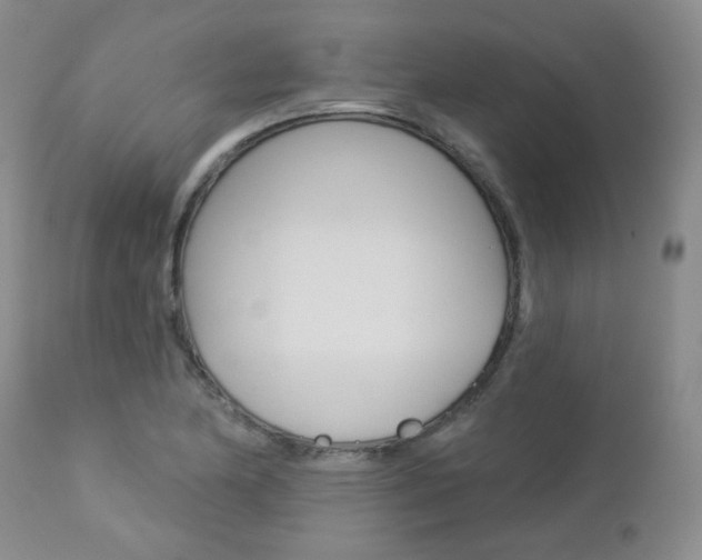 X0000112781174200908201407