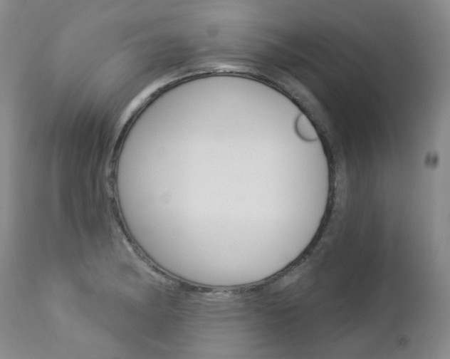 X0000112781182200908201407