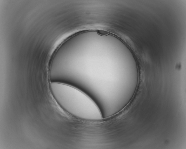 X0000112781184200908201407