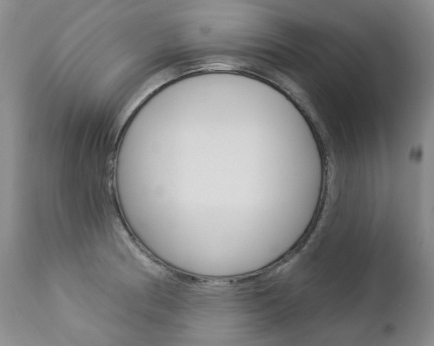 X0000112781186200908201407