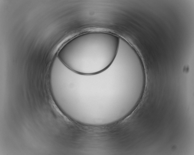 X0000112781189200908201406