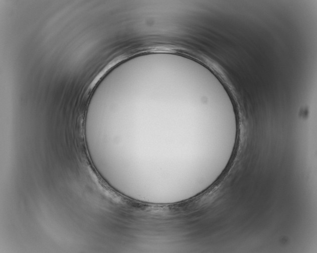 X0000112781194200908201406