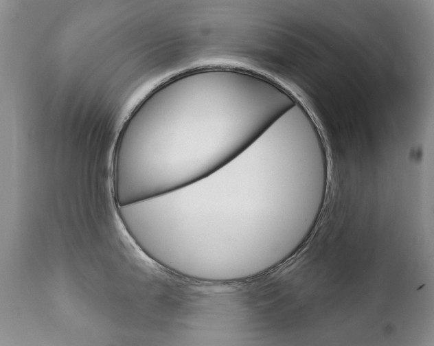 X0000112781199200908201406