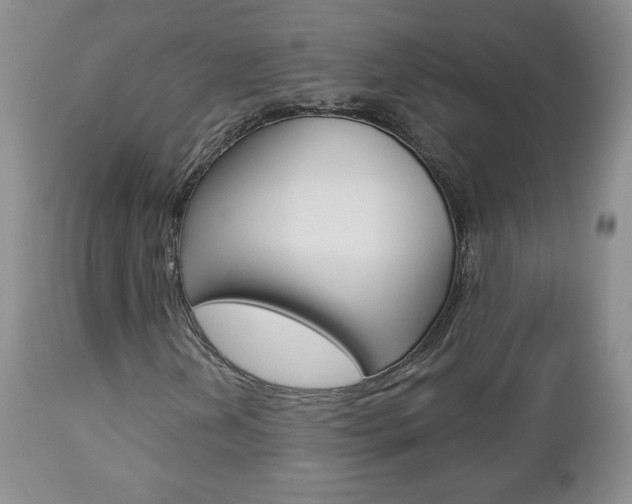 X0000112781202200908201406